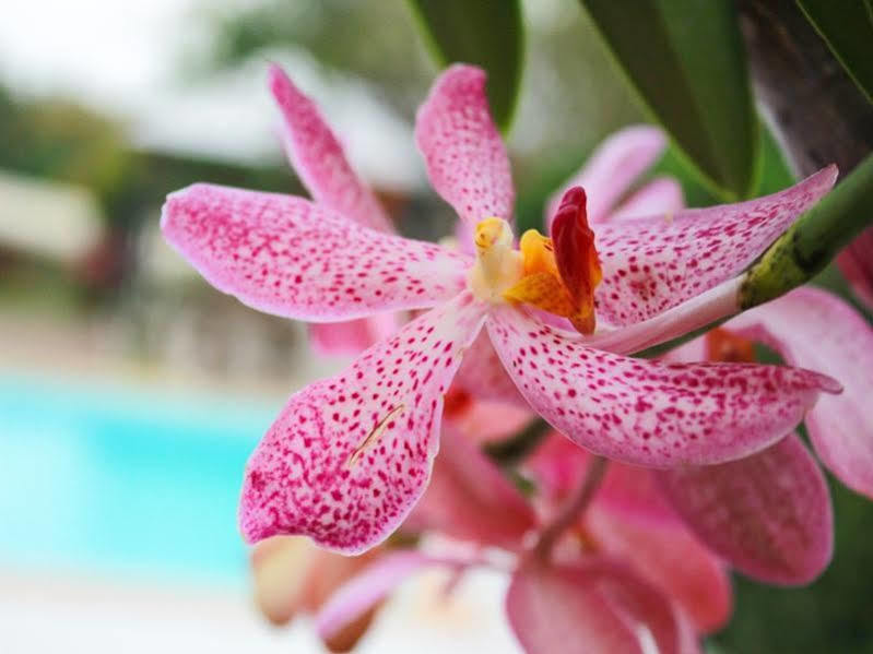 Kanvela Resort Kanchanaburi by Eksteriør bilde
